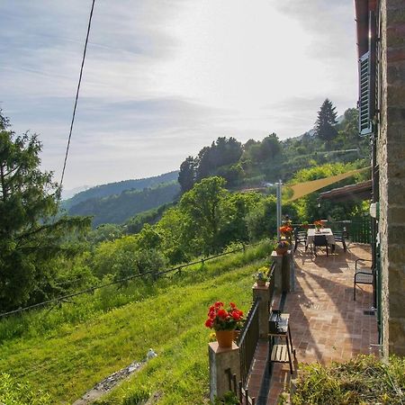 Casa Serena Villa Petrognano  Екстериор снимка