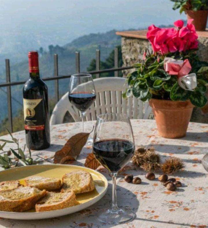 Casa Serena Villa Petrognano  Екстериор снимка