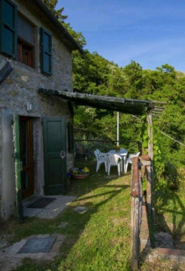 Casa Serena Villa Petrognano  Екстериор снимка