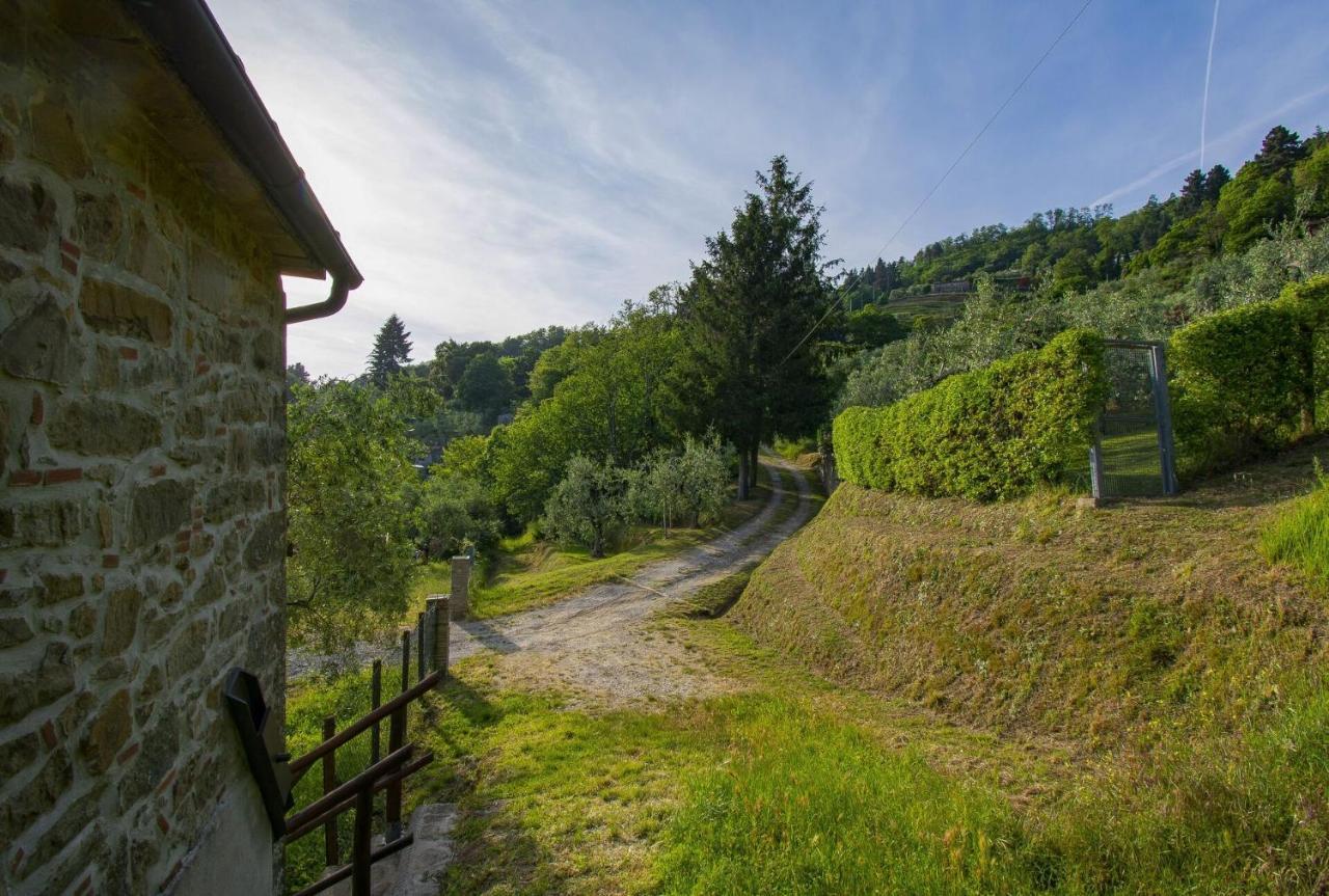 Casa Serena Villa Petrognano  Екстериор снимка