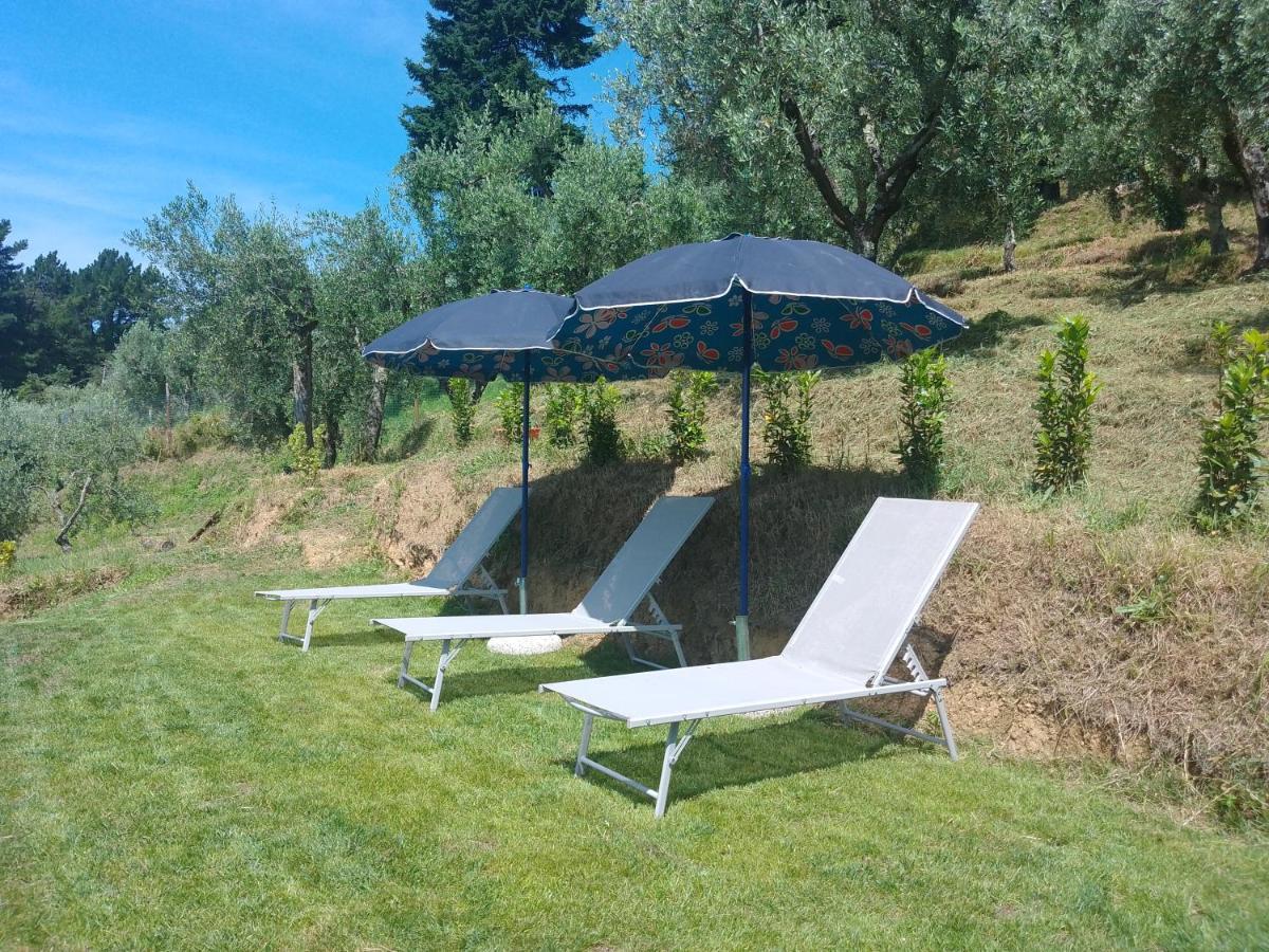Casa Serena Villa Petrognano  Екстериор снимка